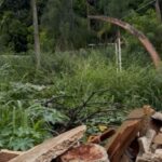 Moradores denunciam abandono de área pública no Setor Vila Legionária, em Goiânia