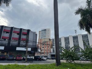 Prefeitura de Goiânia remove mais de 21 toneladas de fios soltos