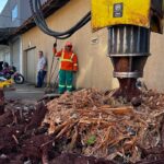 Comurg oferece retirada gratuita de raízes e tocos que danificam calçadas de moradores em Goiânia