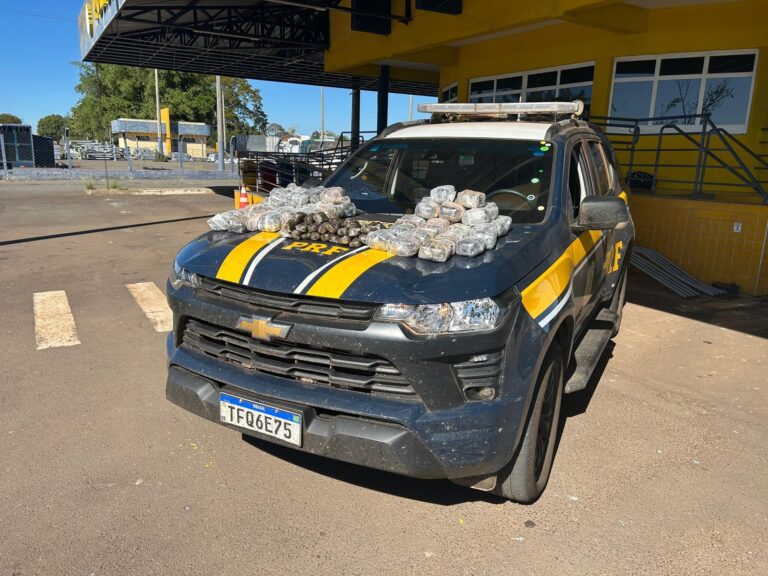 Homem é preso após PRF encontrar 37 quilos de haxixe escondidos em tanque de combustível na BR-153