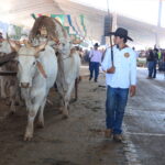 Romaria do Divino Pai Eterno 2026 reúne fé, tradição, Carros de Boi e grandes shows artísticos em Trindade